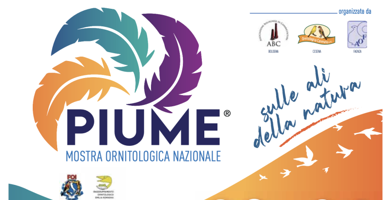 Piume